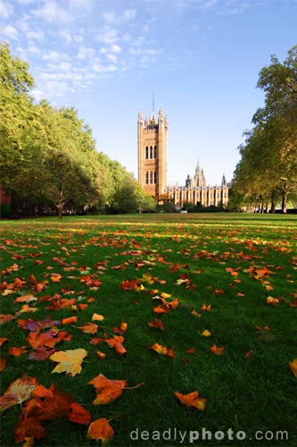 Millbank Park, House of Commons, Westminster, London