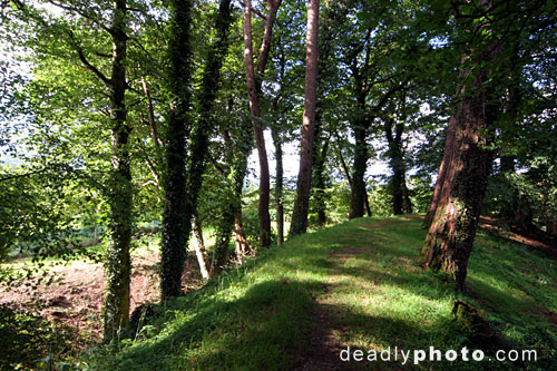 Looking along the perimeter of the fort, or 'rath' of Brian Boru's Fort, Killaloe, Co. Clare