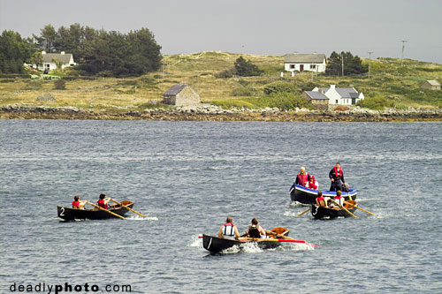Racing currachs at Roundstone